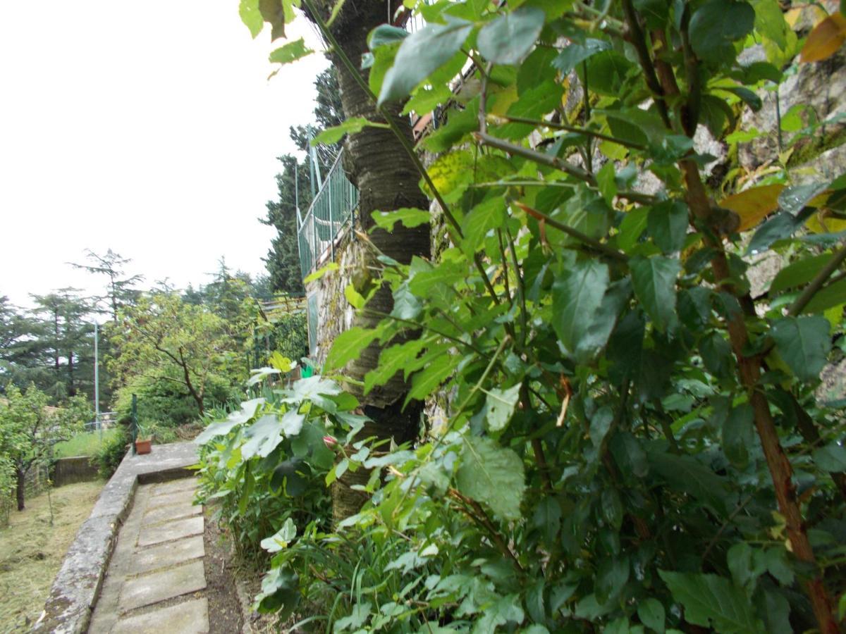 La Vecchia Locanda Castelnuovo di Val di Cecina Exteriér fotografie